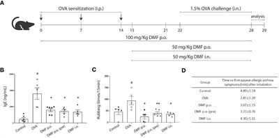 Dimethyl fumarate alleviates allergic asthma by strengthening the Nrf2 signaling pathway in regulatory T cells